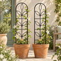 Ivy Arched Indoor & Patio Pot Trellis Pair — garden lifestyle